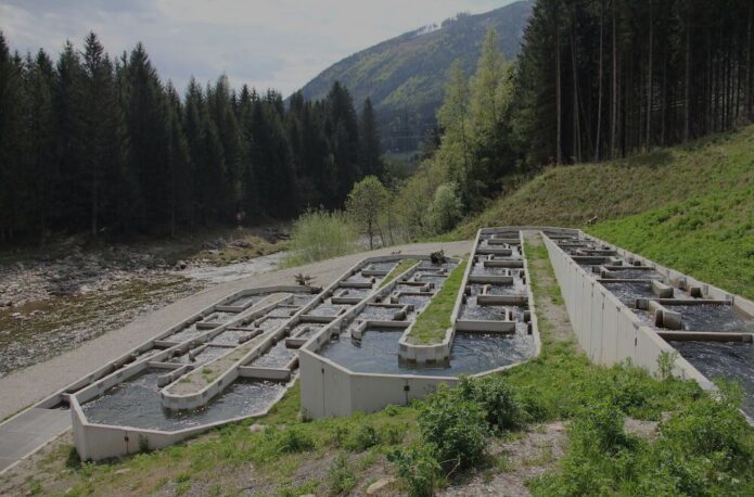 Tiefbau ist eine Leistung von Kirchdorfer